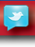 Follow Us on Twitter
